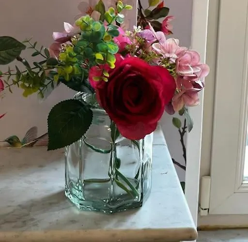 דירה Les Pyou-pyous נאנסי