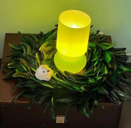 דירה Les Pyou-pyous נאנסי